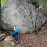 Webサイト開設に向けて