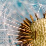 【手首痛が改善！】キーボードとリストレストは最強の組合せ～個人的感想～