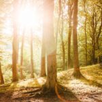 【ネット予約システム】STORES 予約 でネット予約サイトを作ってみた